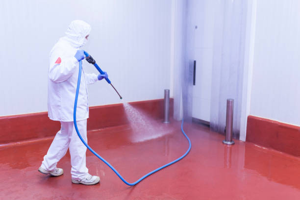 Paint Preparation in Boston Heights, OH